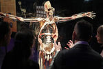 Экспонат анатомической выставки доктора Гюнтера фон Хагенса «Мир тела» (Body Worlds) на ВДНХ в Москве