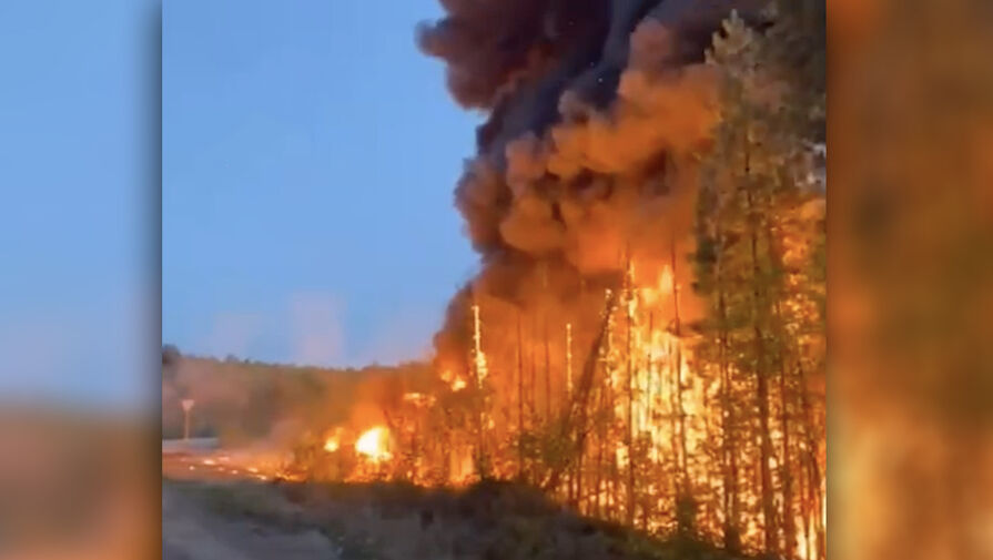 Бензовоз опрокинулся и устроил пожар в лесу
