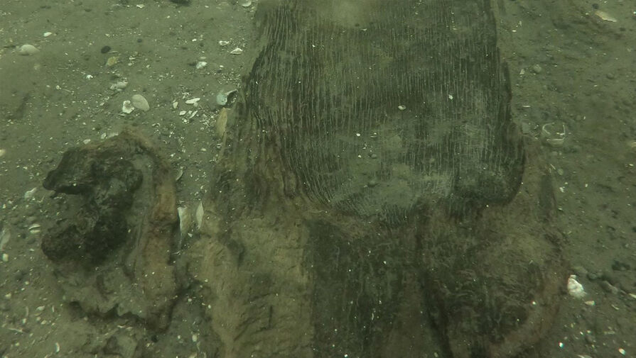 Археологи вытащили из воды древнейшее индейское каноэ возрастом 3000 лет