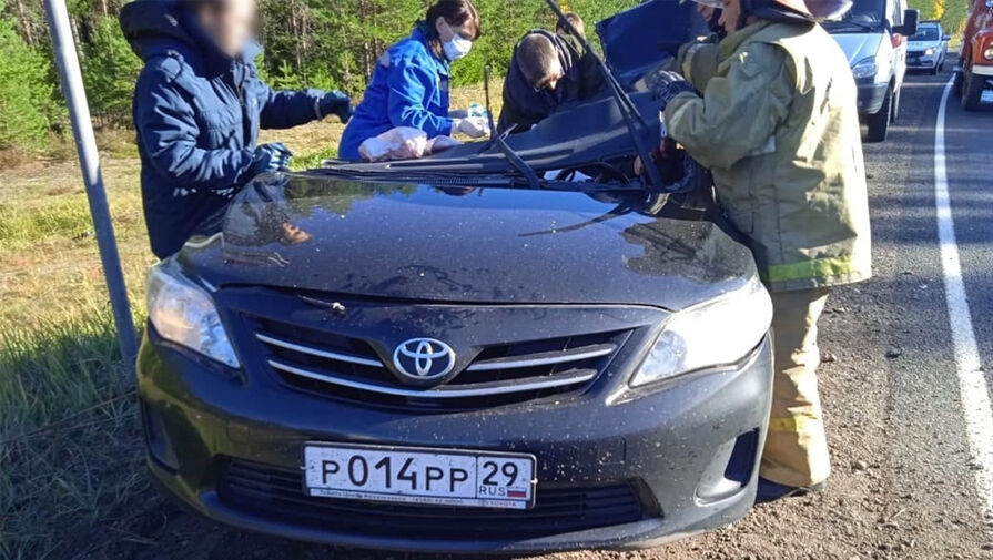 Автомобиль правительства Архангельской области столкнулся с "КамАЗом"