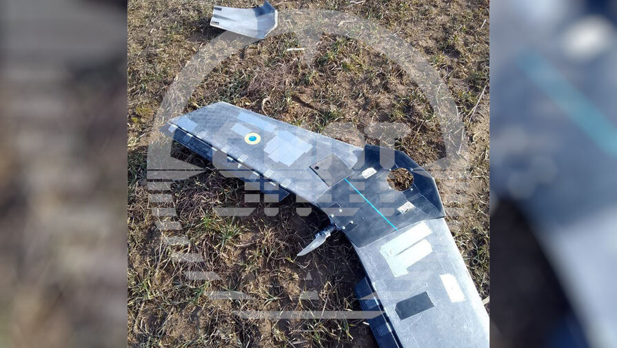 Shot: российский пограничник в Брянской области сбил БПЛА ВСУ Валькирия из автомата