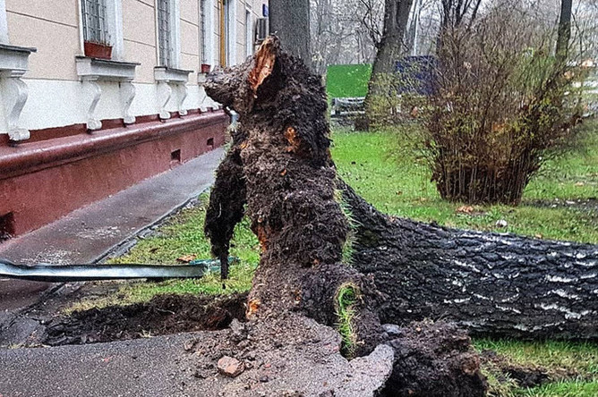 Последствия штормового ветра в Лосиноостровском районе, Москва, 21 апреля 2018 года