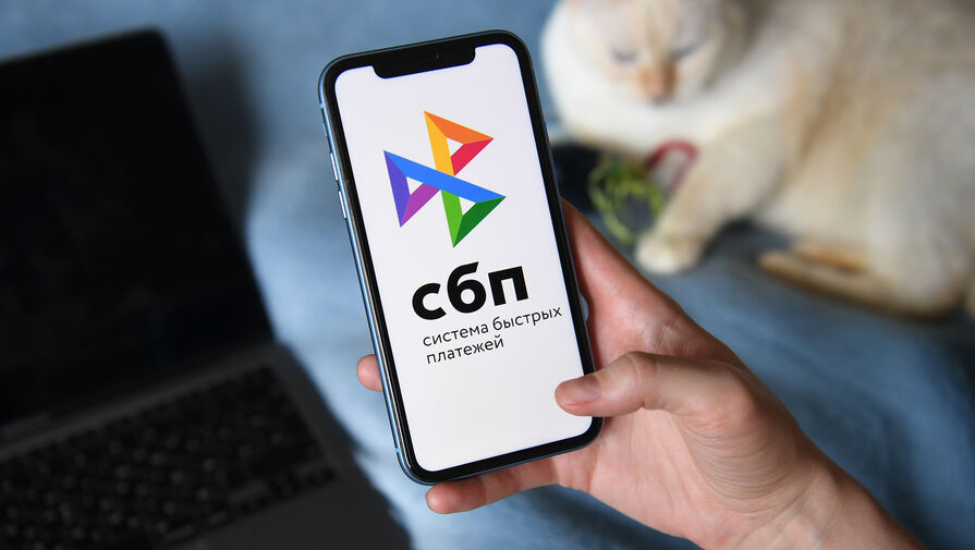 Назван объем украденных у россиян через СБП средств