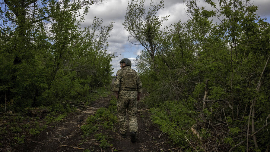 Российская артиллерия разогнала по лесу солдат ВСУ