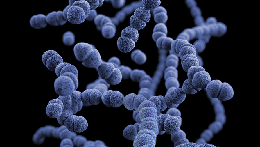 Ученые открыли семейство микробов с высоким потенциалом для создания лекарств