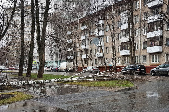 Последствия штормового ветра в Лосиноостровском районе, Москва, 21 апреля 2018 года