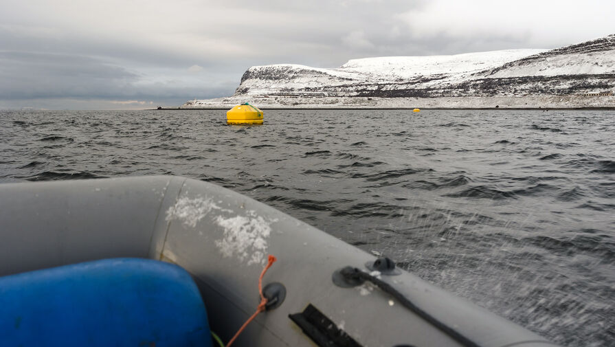 "Путин вернул рыбу". Госдума запретила британцам рыбачить в Баренцевом море