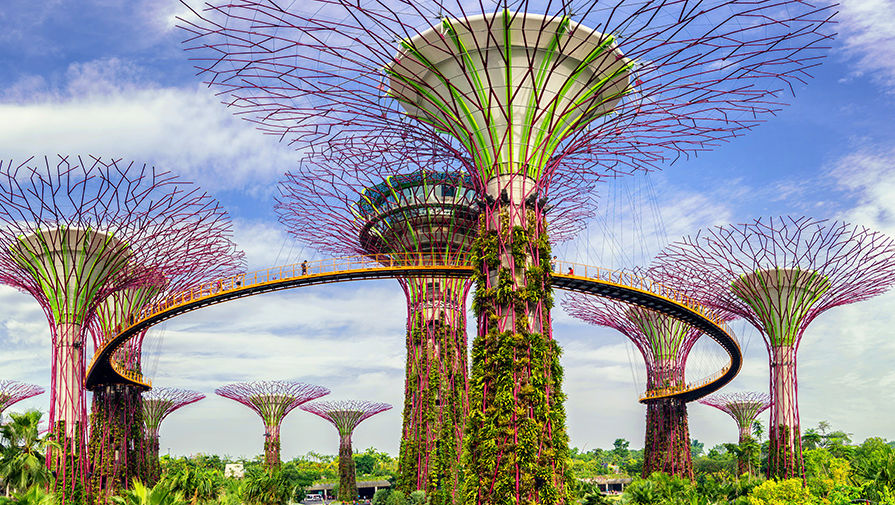 Парк «Сады у залива» в Сингапуре 