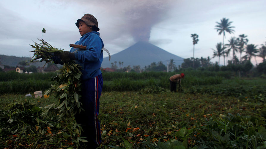 Фермеры на&nbsp;фоне извержения вулкана Агунг на&nbsp;Бали, 26&nbsp;ноября 2017&nbsp;года
