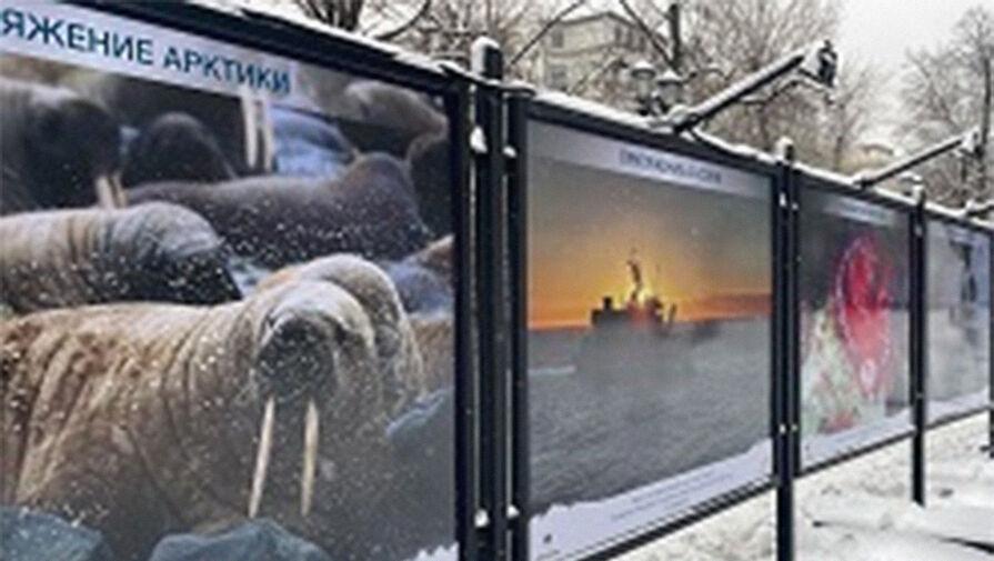 В Москве открылась фотовыставка Притяжение Арктики