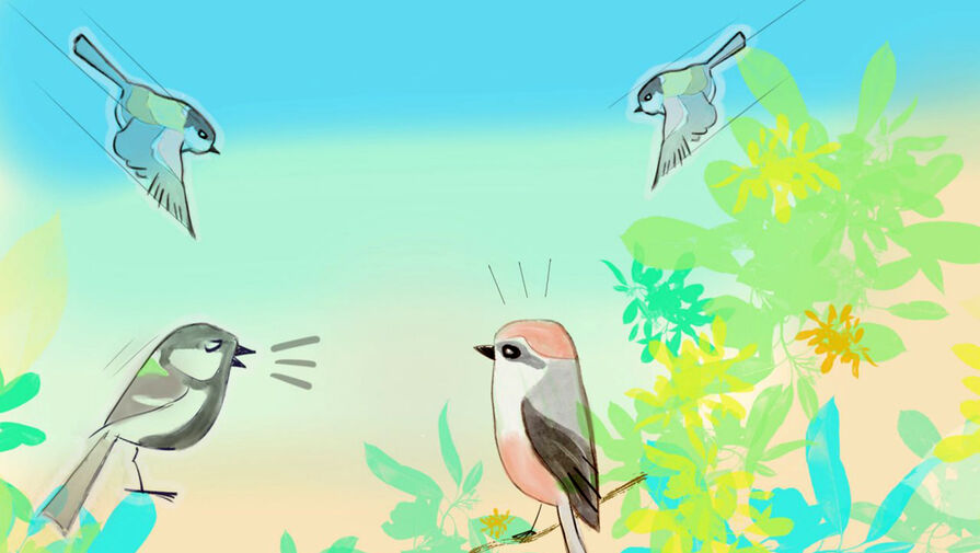 Орнитологи заметили, что птицы используют в общении сокращения