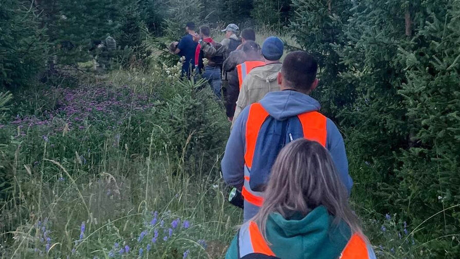 Пропавшую в Архангельской области двухлетнюю девочку нашли в болоте