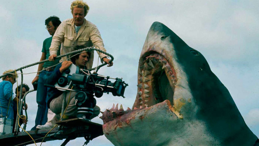 Никто из&nbsp;съемочной группы не представлял себе, как правильно снимать фильм о&nbsp;нападении акулы, поэтому было изготовлено три рабочие модели, одна из&nbsp;которых была предназначена для&nbsp;кадров, где акула появляется целиком. 