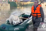 Сотрудник МЧС России эвакуирует собаку из зоны подтопления в Орске, 6 апреля 2024 года