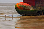 Рабочие несут тросы для крепления списанного судна на судоверфи Аланг (Индия)