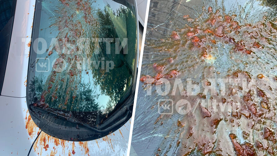 В Тольятти в лобовое стекло автомобиля бросили банку с вареньем