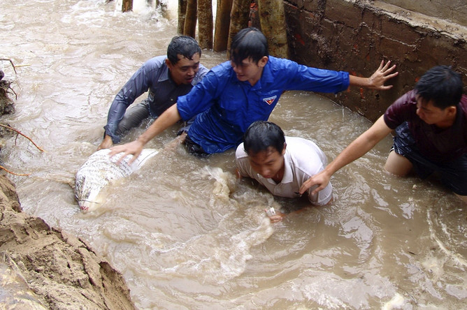 Во Вьетнаме в результате наводнения погибли около 100 человек