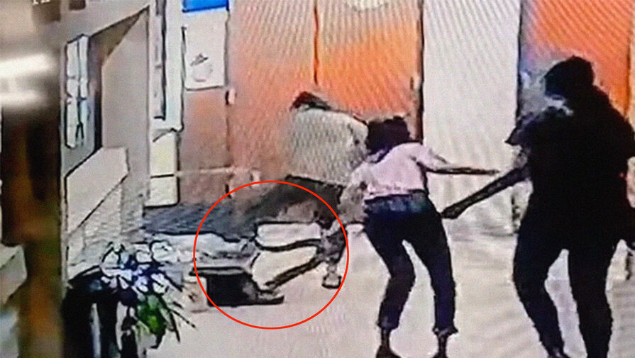 В Таиланде питон пробрался в офис и покусал сотрудницу за ногу
