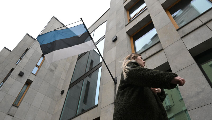 Парламент Эстонии запретил россиянам и белорусам владеть оружием