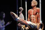 Экспонаты анатомической выставки доктора Гюнтера фон Хагенса «Мир тела» (Body Worlds) на ВДНХ в Москве