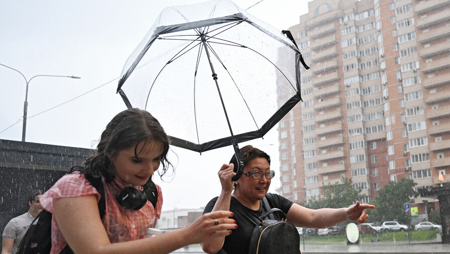 Синоптик сообщил о дождливом максимуме в Москве 27 апреля
