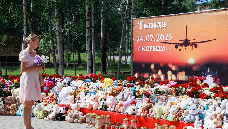 На месте крушения Ан-24 в Амурской области нашли черные ящики. Появились две версии трагедии