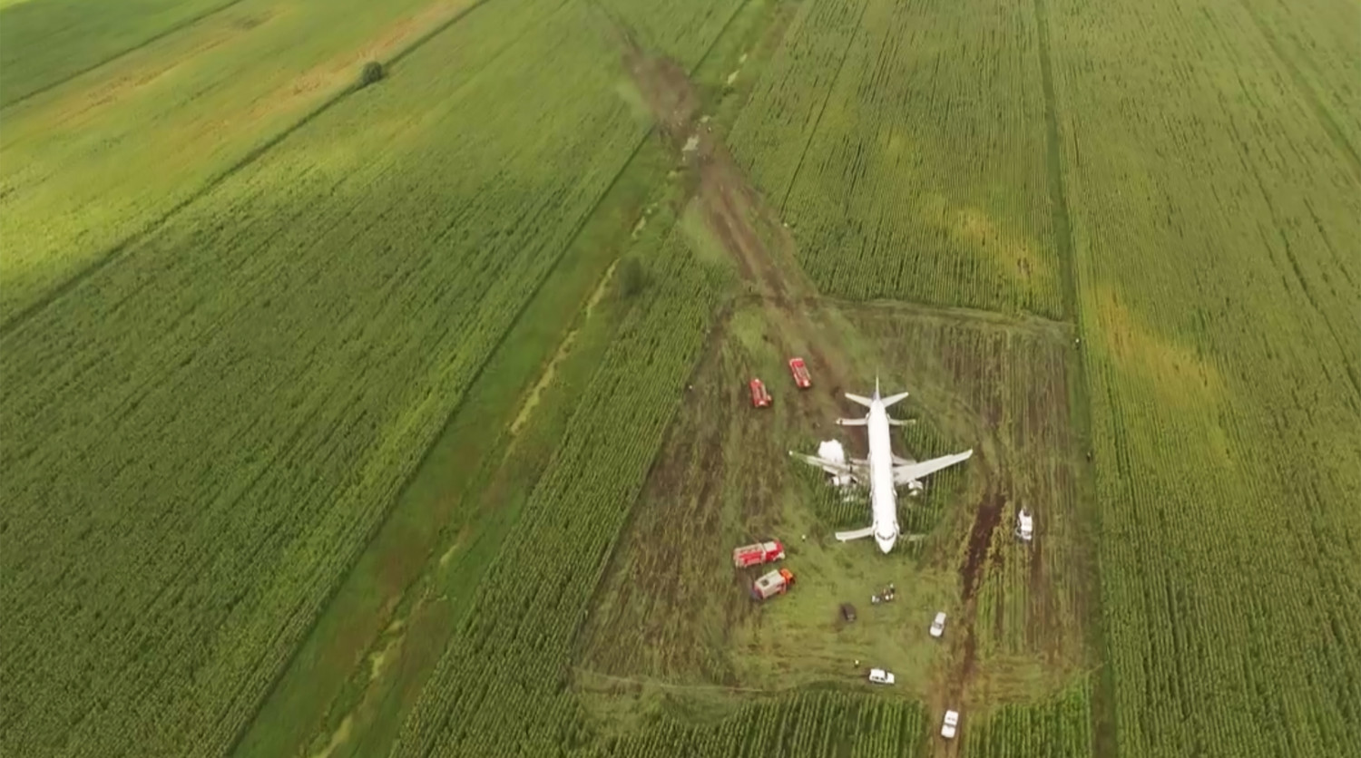 Врезался в стаю птиц: хроника роковой посадки A321 - Газета.Ru