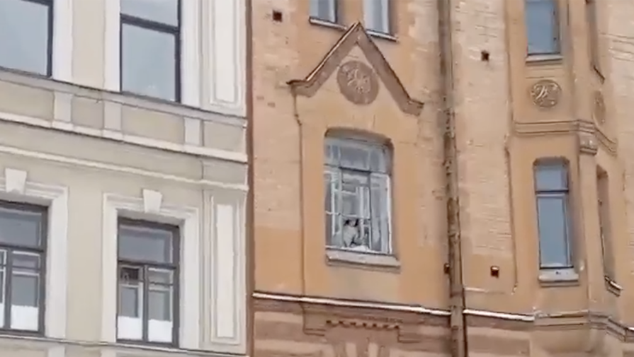 В Санкт-Петербурге девочка разбила окно бейсбольной битой и бросала фломастеры на тротуар