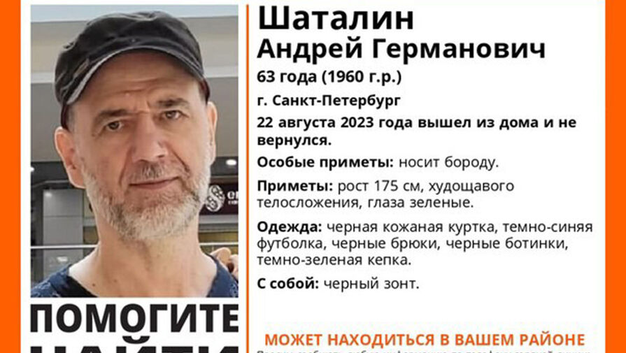 Найден пропавший сооснователь группы Алиса Андрей Шаталин