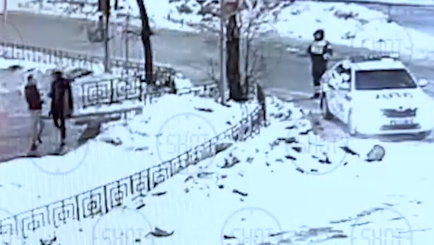 В Балашихе двое мужчин закидали машину ДПС снежками и подрались с инспектором