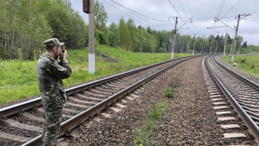 Крымская железная дорога предупредила о запрете снимать поезда и объекты дороги