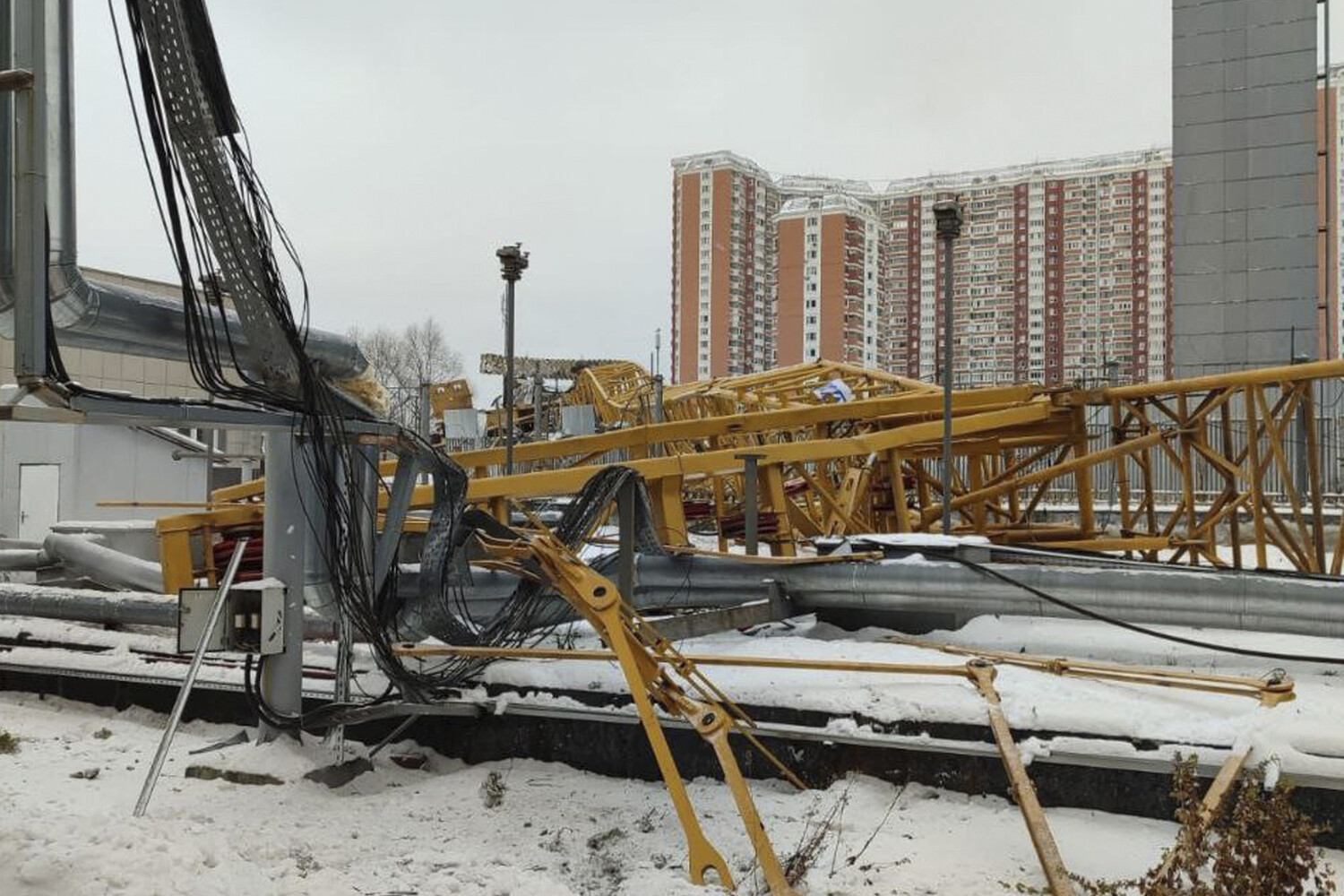 Названа причина падения башенного крана в Подмосковье - Газета.Ru | Новости