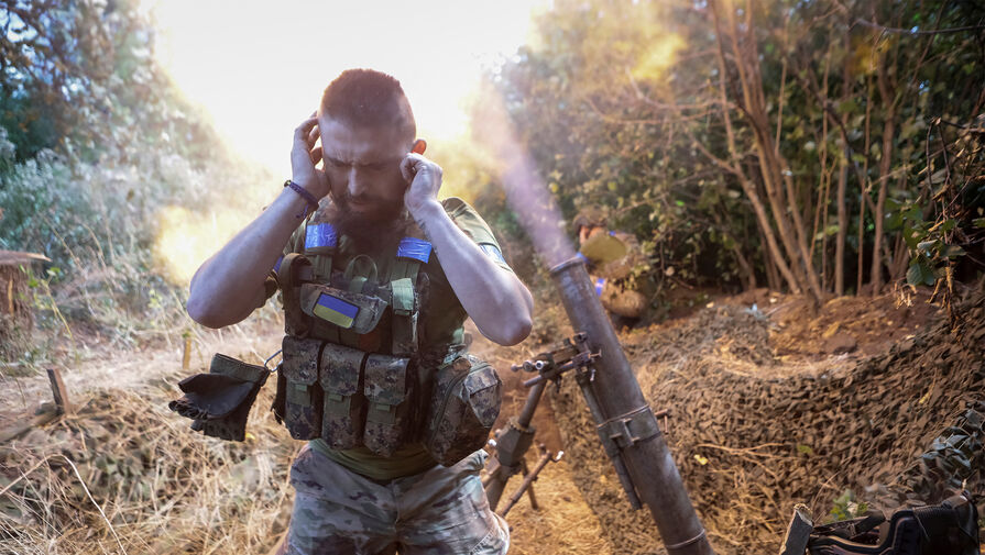 В Чехии заявили о развале украинского фронта в Донбассе