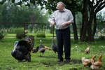 Лидер ЛДПР Владимир Жириновский на ферме в деревне Дарьино