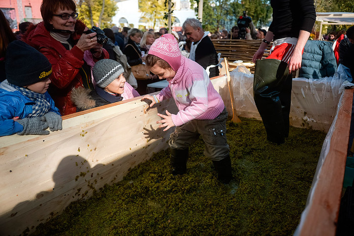 Гости празднования Дня столицы Грузии &laquo;Тбилисоба-2014&raquo; в&nbsp;Москве давят виноград