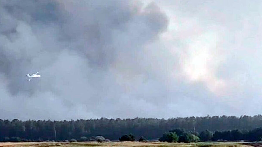 Площадь лесного пожара в Алтайском крае, пройденная огнем, возросла до 2,3 тысячи гектаров
