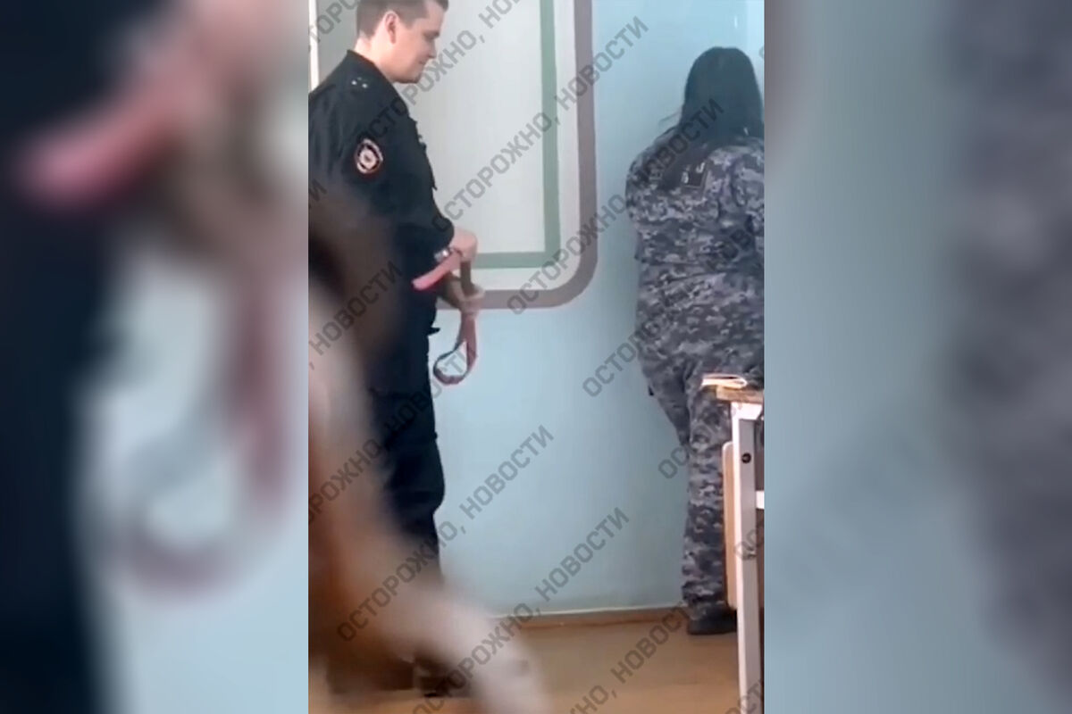 Student Spanked And Fucked Порно Видео | real-watch.ru