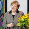 Меркель исключила любое сотрудничество с 
