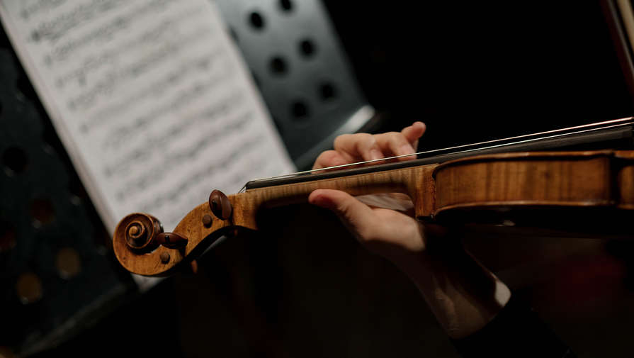 В Париже на помойке нашли украденную скрипку за 100000