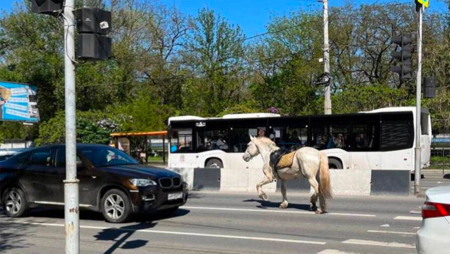 В Ростове-на-Дону конь сбежал из грузинского ресторана