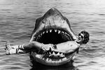Например, именно из-за сложностей в работе с акулой Спилберг прибегнул к съемкам «от первого лица» и резкому монтажу, а также вывел на первый план музыку Джона Уилльямса, которая заработала фильму один из трех «Оскаров».