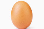 Фото куриного яйца - 54,8 млн лайков