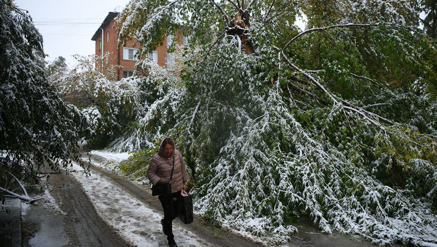 Снегопады и гололедица: россияне дождались зимы