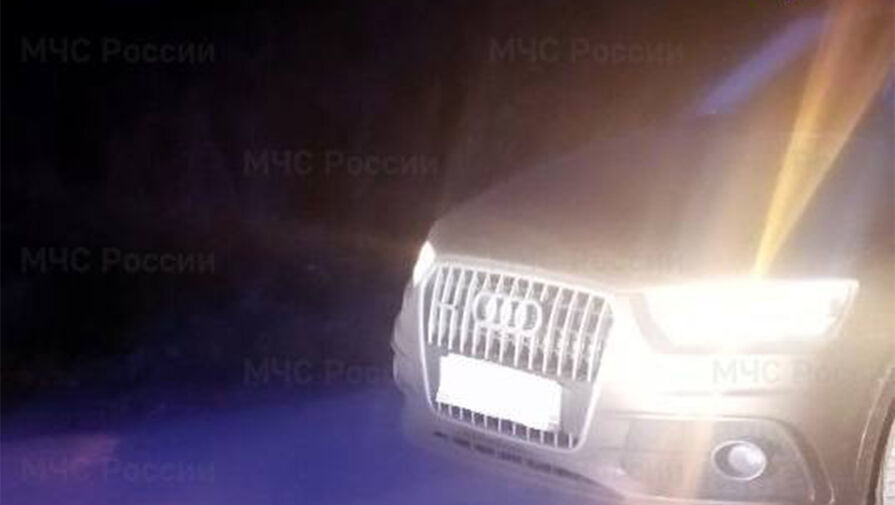 112: в крови погибшей в ДТП с актрисой Большовой обнаружено около 4 промилле алкоголя