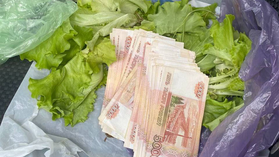 Пермяк спрятал полмиллиона рублей в листьях салата, чтобы дать взятку сотруднику ФНС