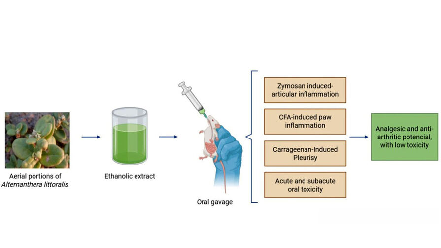 Популярное бразильское растение оказалось эффективным в борьбе с артритом