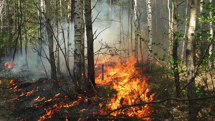 В России за сутки потушили почти 70 природных пожаров