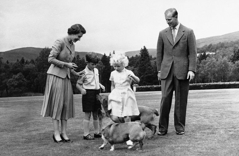 Королева Елизавета II с&nbsp;супругом Филиппом, герцогом Эдинбургским, детьми принцем Чарльзом и принцессой Анной и собаками в&nbsp;Шотландии, 1955 год 