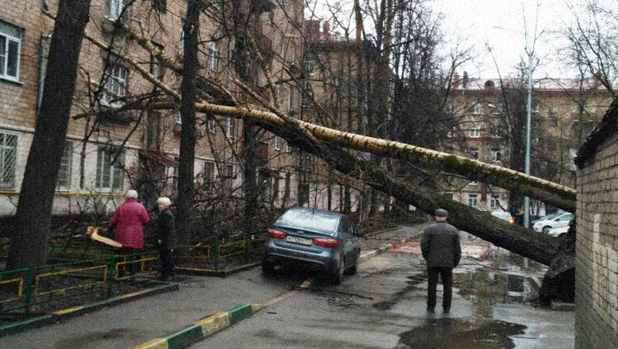 Синоптики спрогнозировали перебои с электричеством в восьми российских регионах из-за циклона