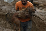 Мужчина выносит собаку из разрушенного оползнями жилого дома, Петрополис, Бразилия, 16 февраля 2022 года